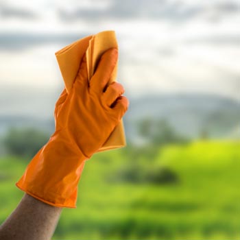 Fenster putzen mit Kalk freiem Wasser - Hand mit Handschuh und Putzschwamm in orange putzt Fenster