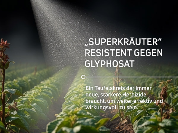Glyphosat – Umstrittenes Herbizit Umstrittenes Herbizit Glyphosat erzeugt Resistenzen