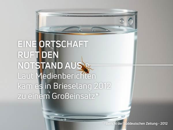 Großeinsatz wegen Asseln im Trinkwasser Asseln im Trinkwasser - Großeinsatz in Ortschaft