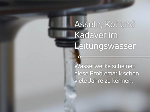 Wasserwerke und Asseln Wasserwerke kennen die Assel-Problematik